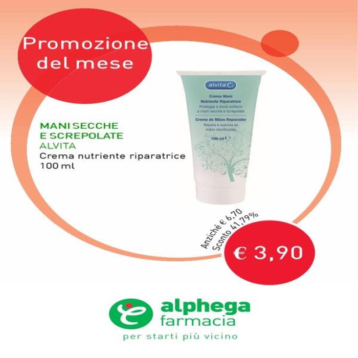 Alvita Crema Mani Pan di Zenzero 50 ml