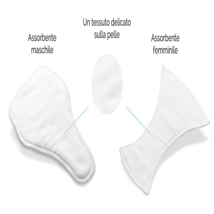 Dualdry Slip Assorbente per Incontinenza Leggera Donna, Mutandine per Perdite Urinarie