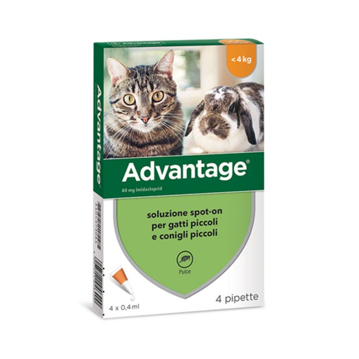Advantage Spot-On per gatti e conigli 4 pipette da 0,4 ml
