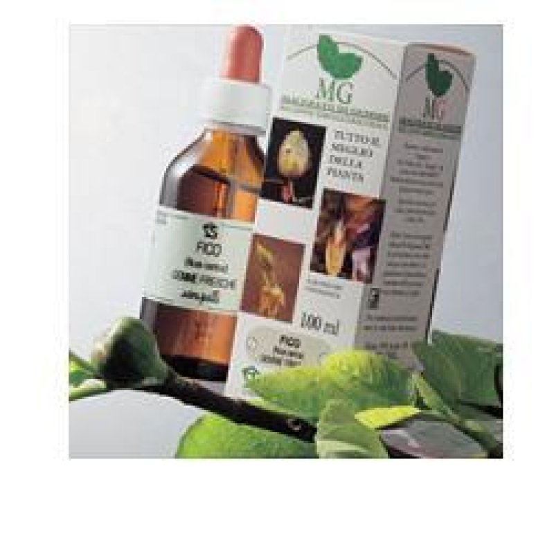 Castagno MG 100 ml - macerato glicerico di castagno per microcircolo