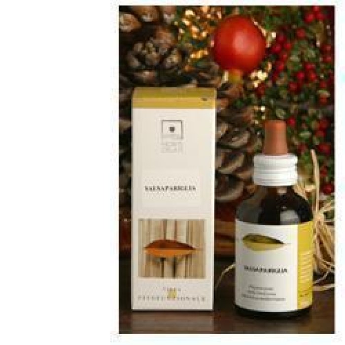 Elicriso bio tintura madre 50 ml - estratto idroalcolico di elicriso biologico