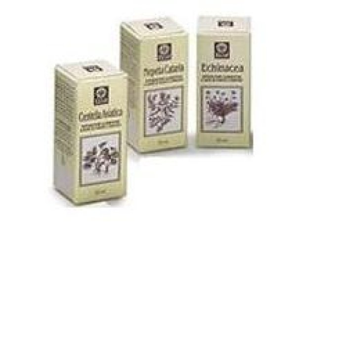 Nepeta cataria estratto analcolico 50 ml - estratto di erba gatta per uso erboristico