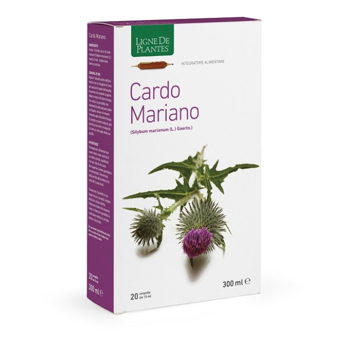 Cardo mariano 20 AB 15 ml - fiale orali di cardo mariano per fegato