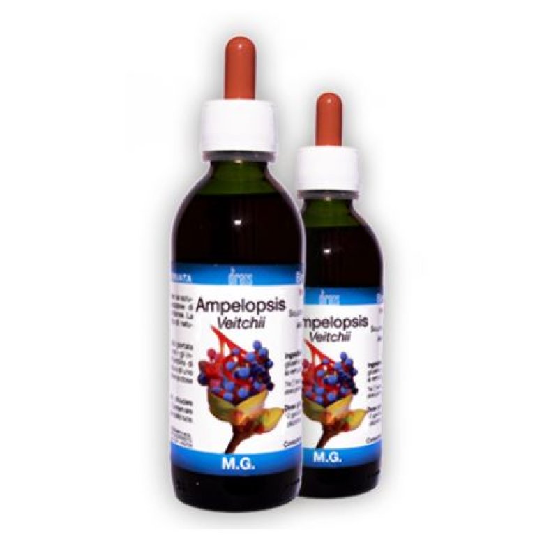 AMPELOPSIS VEITCHII MG 150ML D