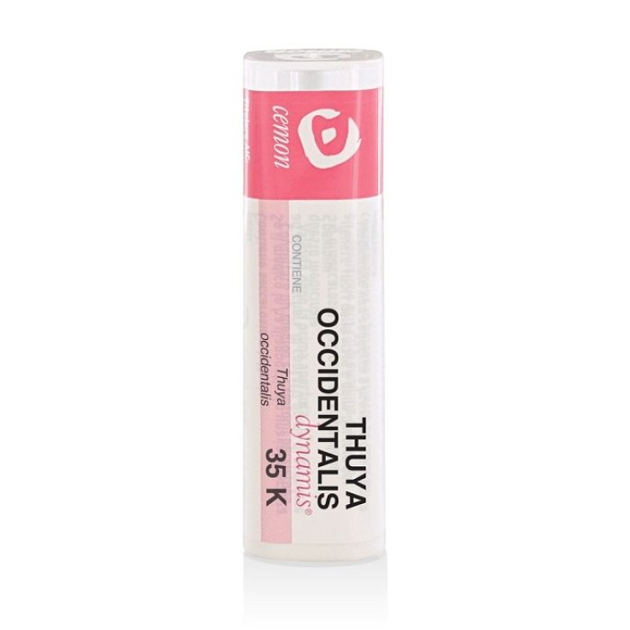 Cemon Thuya Occident 35k Gr