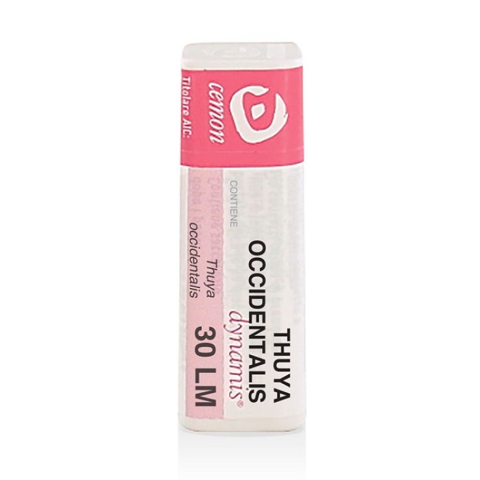 Cemon Thuya Occident 30lm Gl