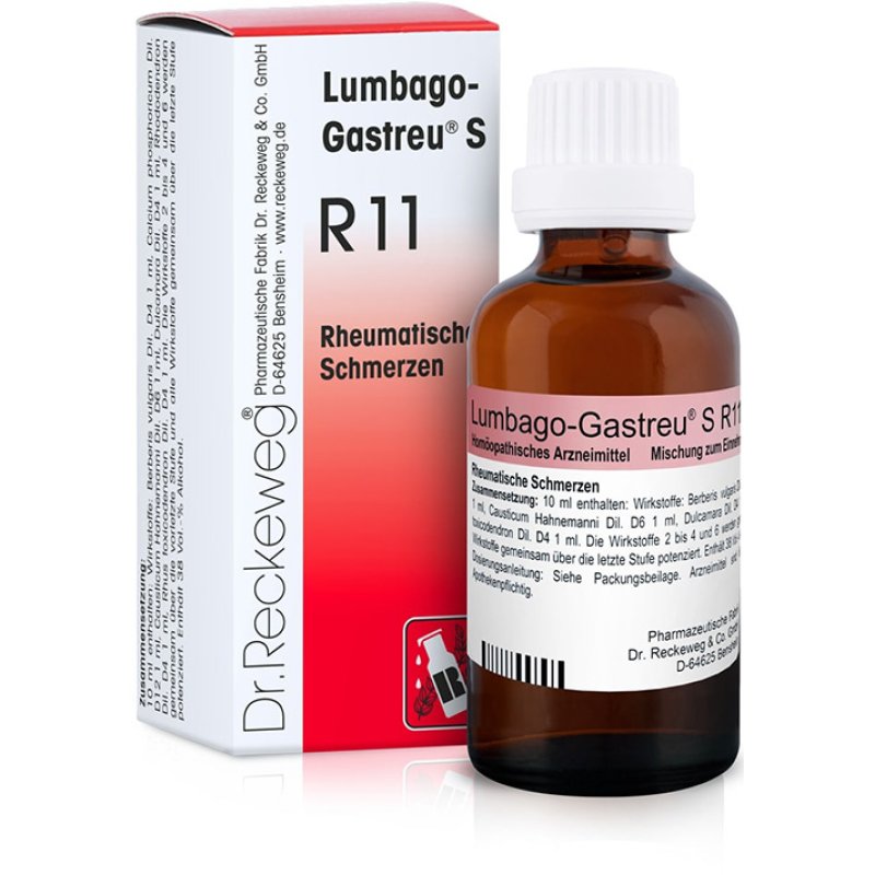 Dr.reckeweg & Co. Gmbh Reckeweg R11 Gocce 22ml