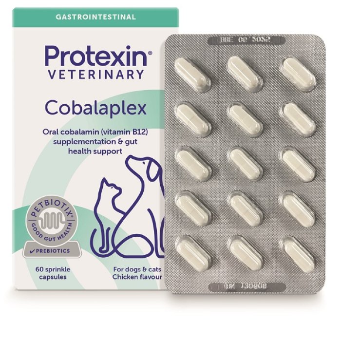 Cobalaplex 60 capsule - mangime complementare con vitamina B12 e acido folico per cani e gatti