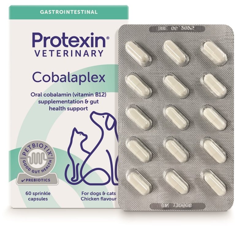 Cobalaplex 60 capsule - mangime complementare con vitamina B12 e acido folico per cani e gatti
