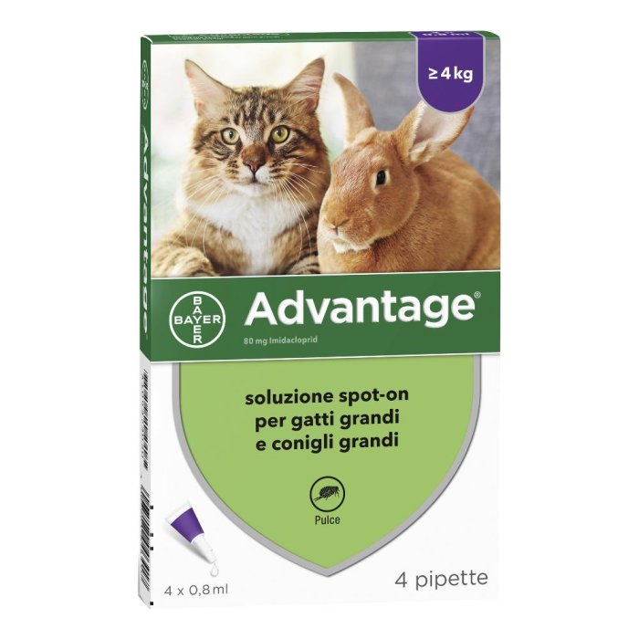 Advantage Spot On 4 Pipette 0,8ml Antiparassitario Gatti/Conigli Grandi