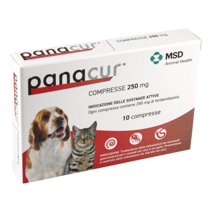 PANACUR*10CPR 250MG CAN/GAT GMM