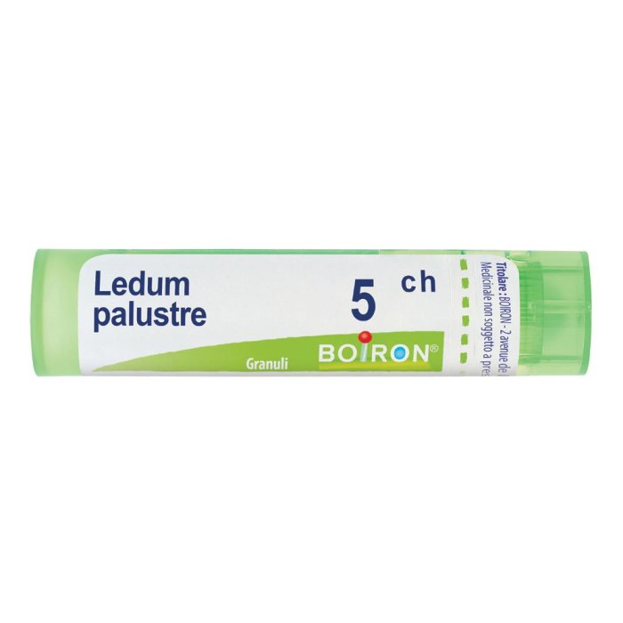 Boiron Ledum Palustre 5ch Gr