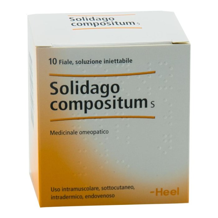 Solidago Heel Fiale 10 x 2,2 millilitri Medicinale Omeopatico Soluzione Iniettabile