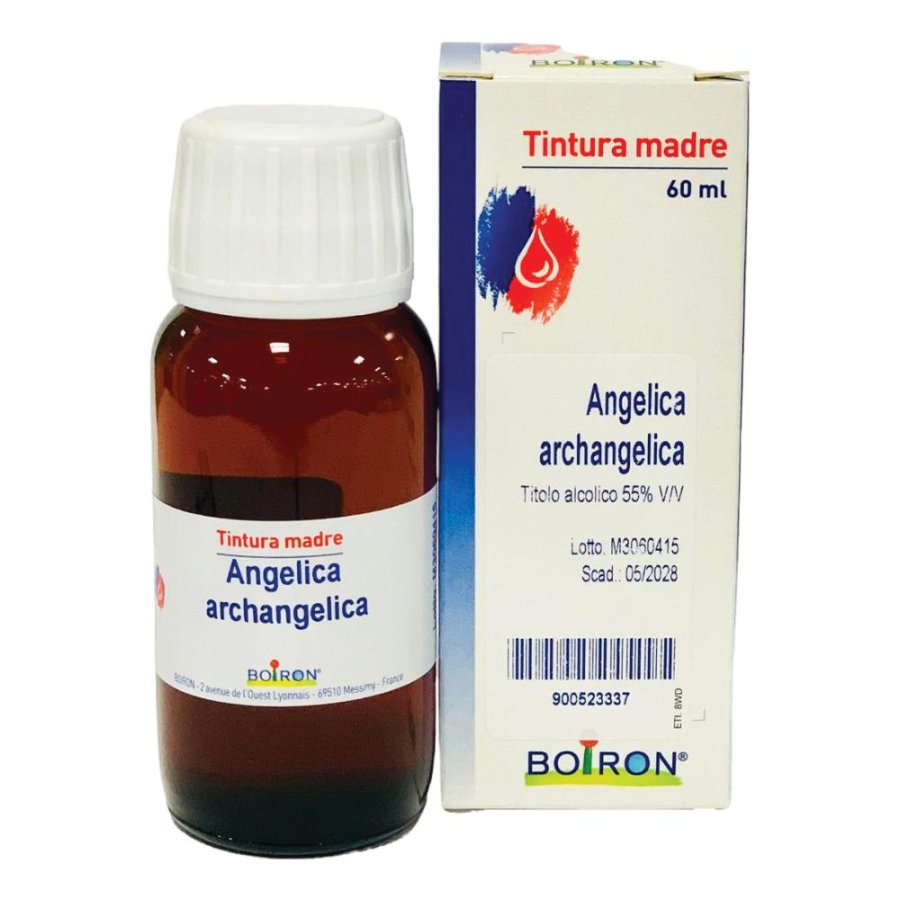 Angelica Arcangelica Tintura Madre 60 ml - preparato fitoterapico digestivo e carminativo