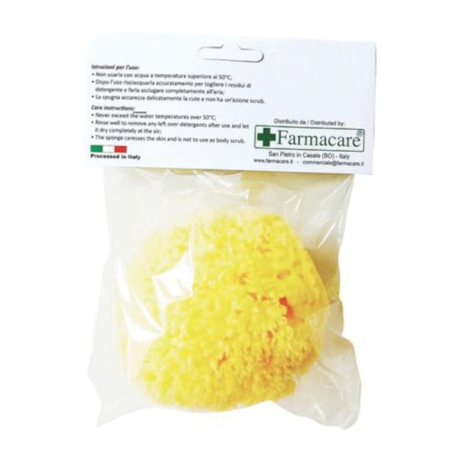 Spugna naturale con fori misura L n.8 per cura del corpo Spugna naturale con fori misura L n.8 per cura del corpo