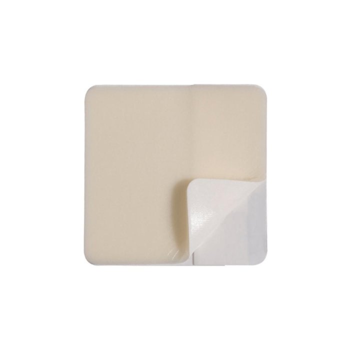 ASKINA TRANSORBENT 10x10 5pz