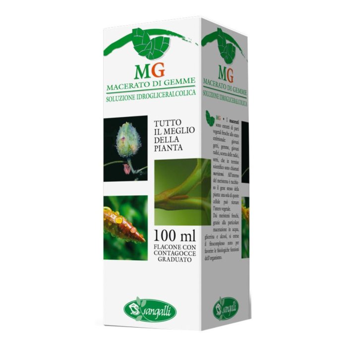 Sangalli Betula Pubescens 100 ml Mg