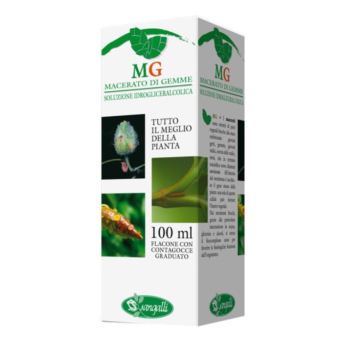 Betula Verrucosa Macerato Glicerico 100 ml Integratore Naturale Depurativo e Drenante