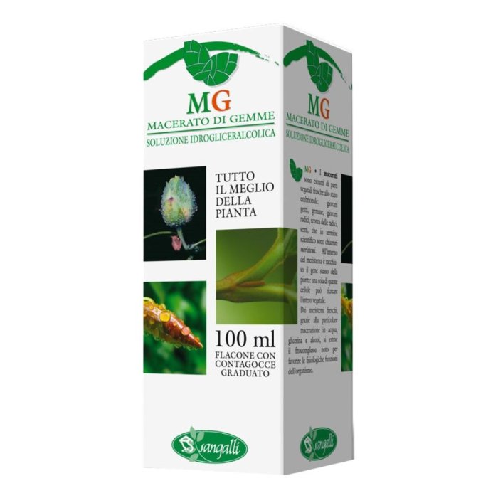 Sangalli Ribes Macerato Glicerico 100 Ml