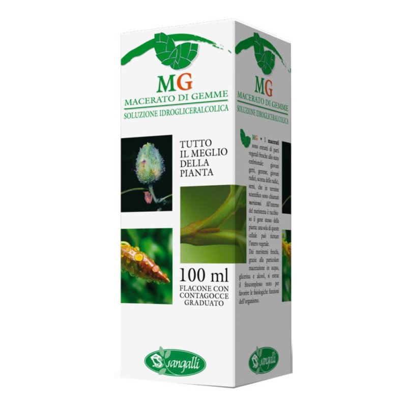 Betulla 100 ml Estratto Naturale Drenante Anticellulite per Combattere la Cellulite