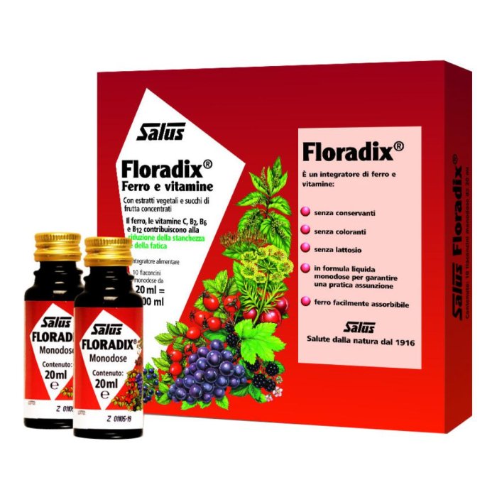 Salus Haus Gmbh & Co Kg Floradix Monodose 10 Fiale