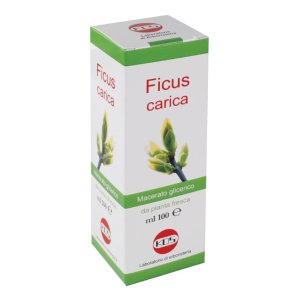 Kos Macerato Glicerico - Ficus Carica Gocce 100 ml