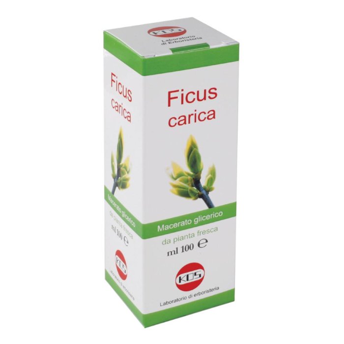 Kos Macerato Glicerico - Ficus Carica Gocce 100 ml