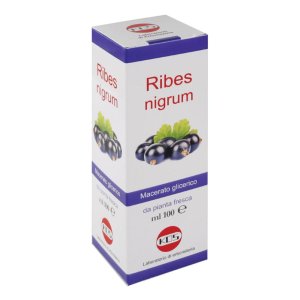 Ribes nigrum macerato glicerico 100 ml gocce