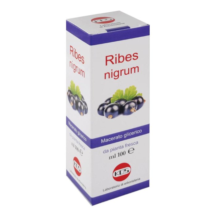 Ribes nigrum macerato glicerico 100 ml gocce