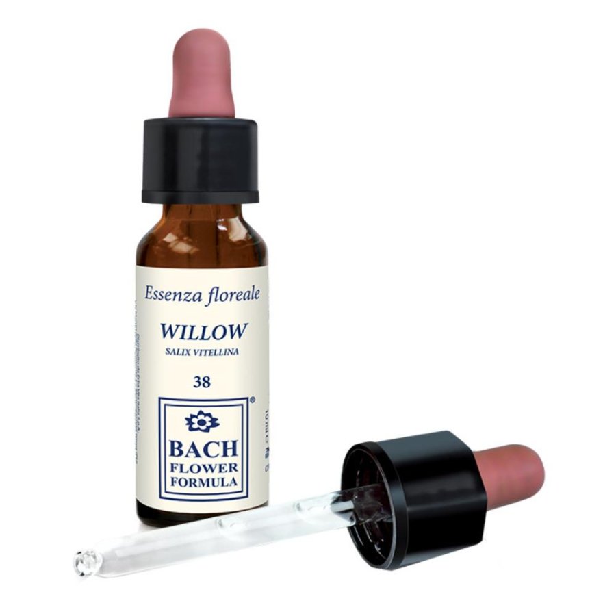 WILLOW ORIGINAL 10ML GTT WILLOW ORIGINAL 10ML GTT