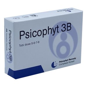 Biogroup Psicophyt Remedy 3b 4 Tubi 1,2 G
