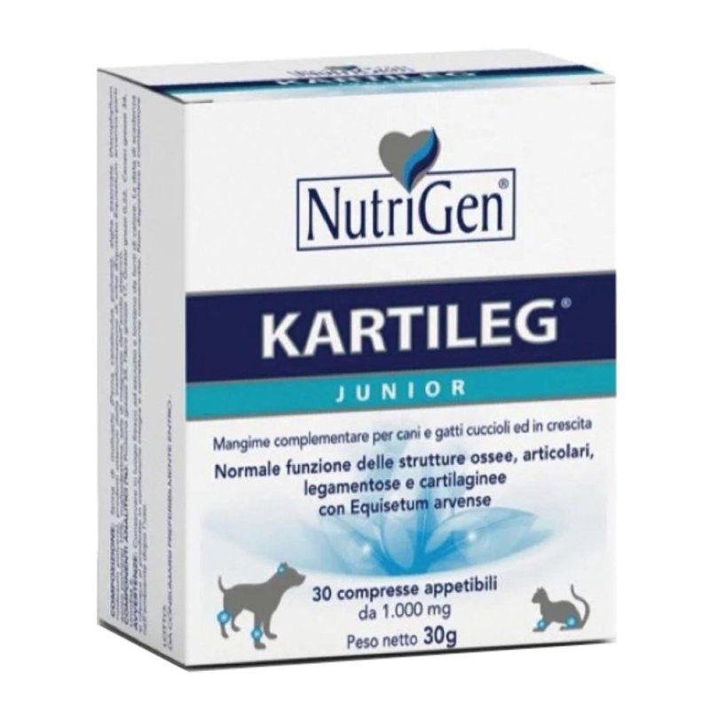 Lg Distribuzione Kartileg J 60tav