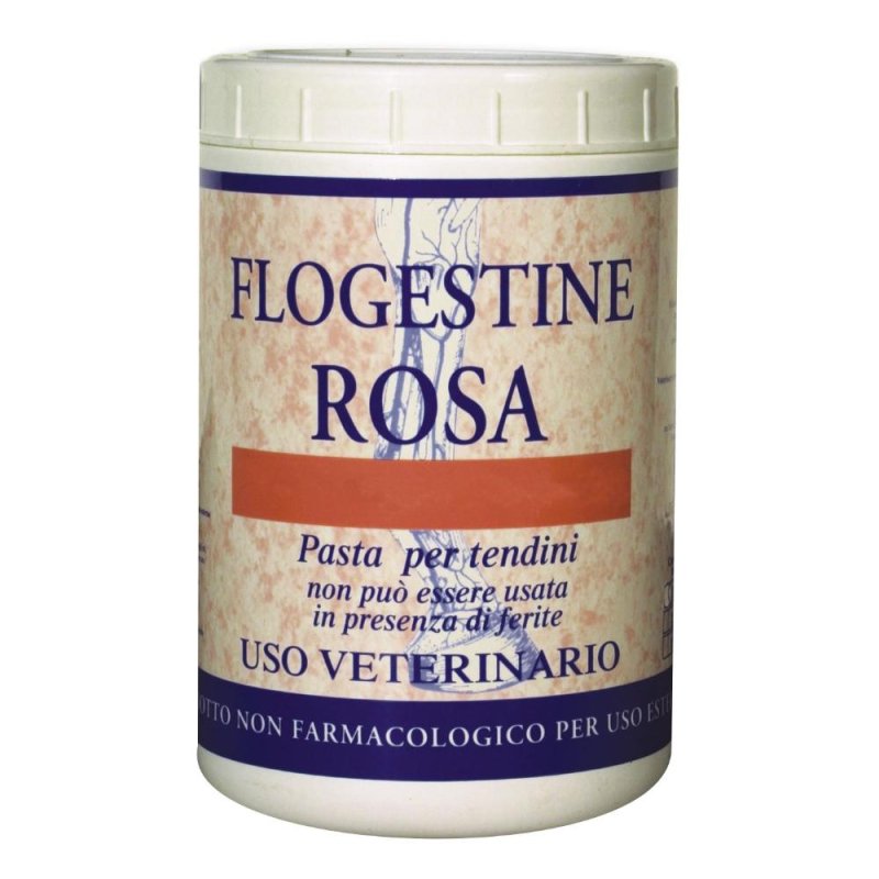 Flogestine Rosa pasta 1 kg - pasta lenitiva per uso topico Flogestine Rosa pasta 1 kg - pasta lenitiva per uso topico