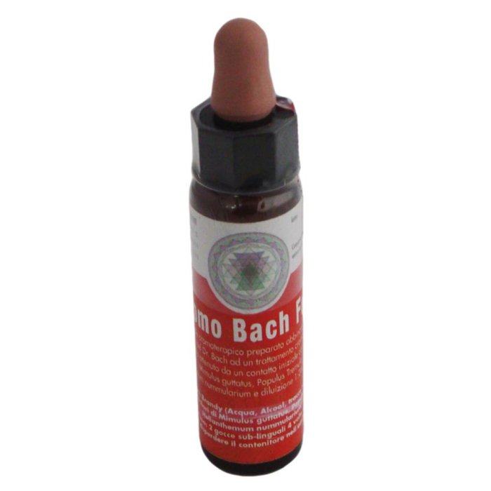 CROMO BACH FEAR GTT 10ML