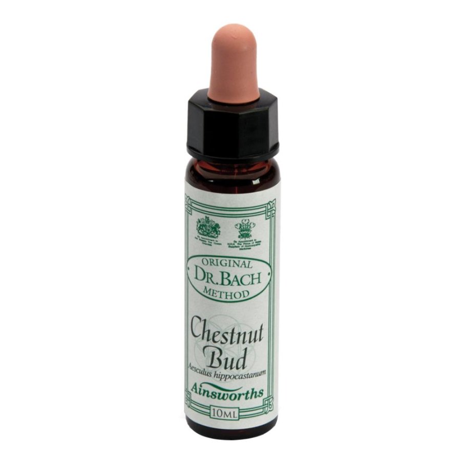AINSWORTHS CHESTNUT BUD 10ML AINSWORTHS CHESTNUT BUD 10ML