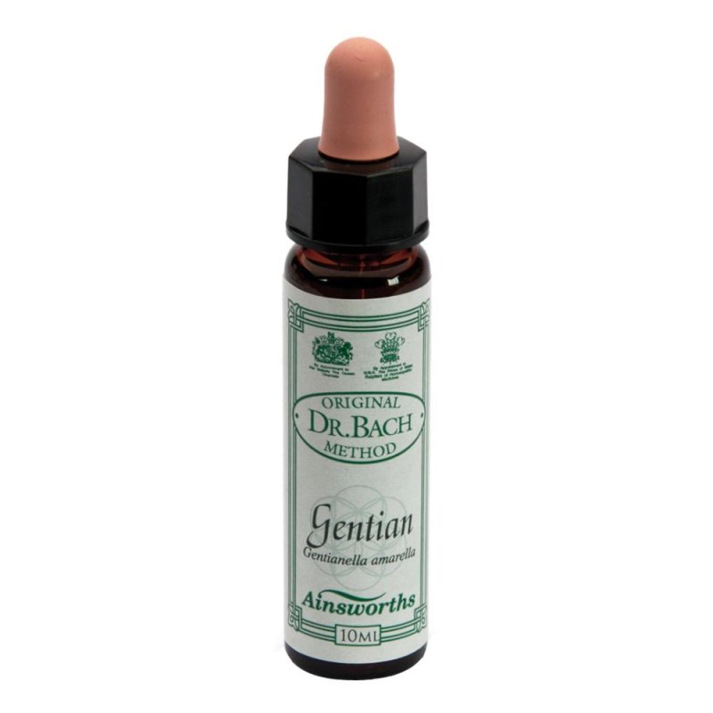 AINSWORTHS GENTIAN 10ML AINSWORTHS GENTIAN 10ML