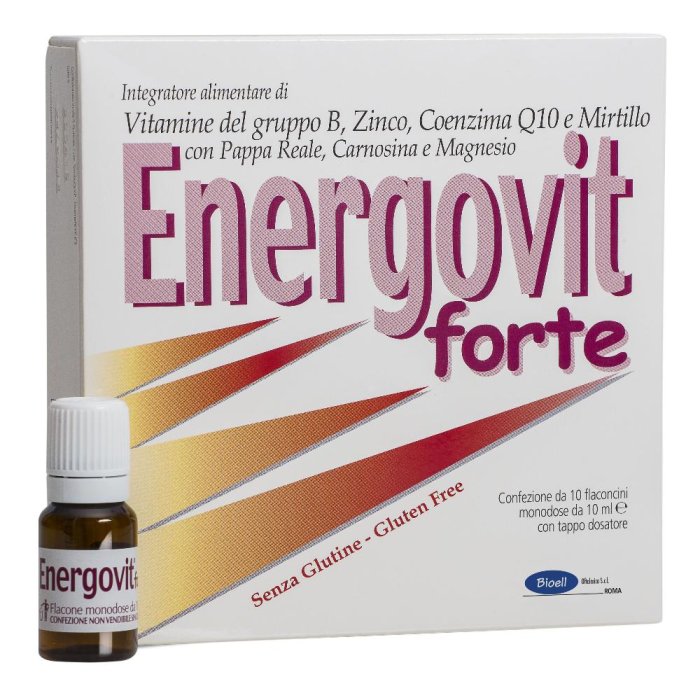 ENERGOVIT FORTE 10FL