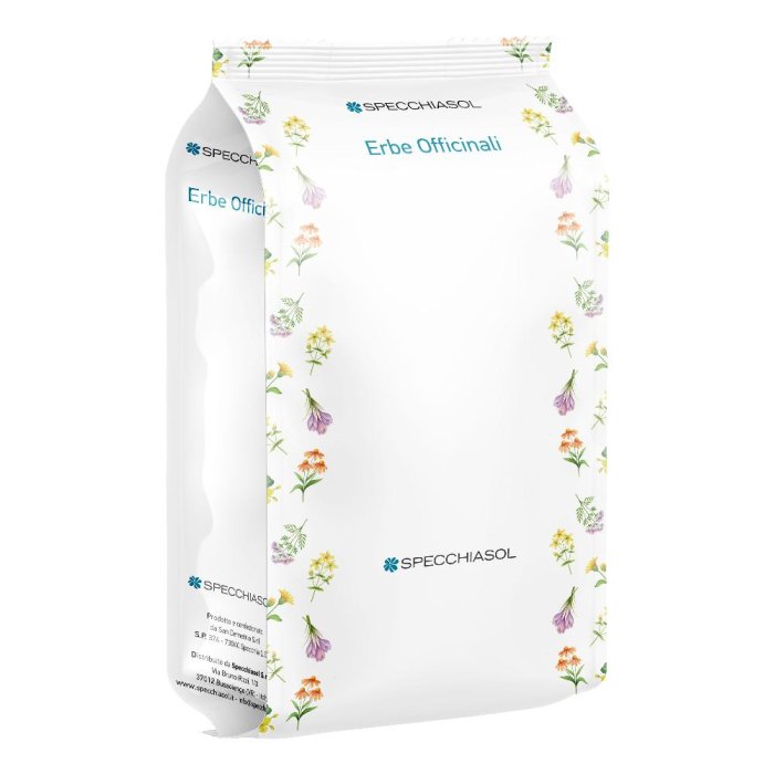 PSILLIO SEMI INT NERI 1KG SPECCH