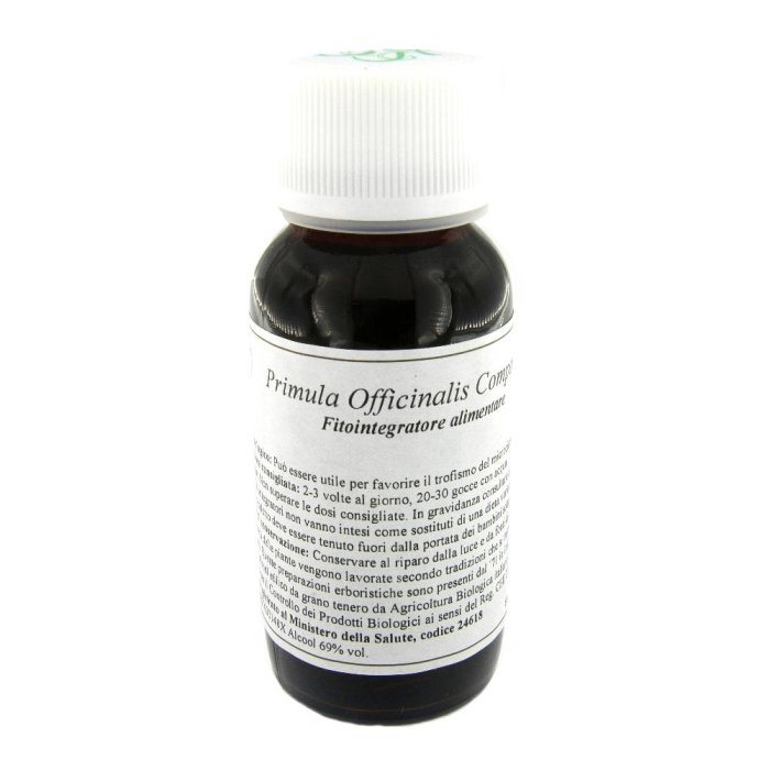 04N PRIMULA OFF COMP LVS