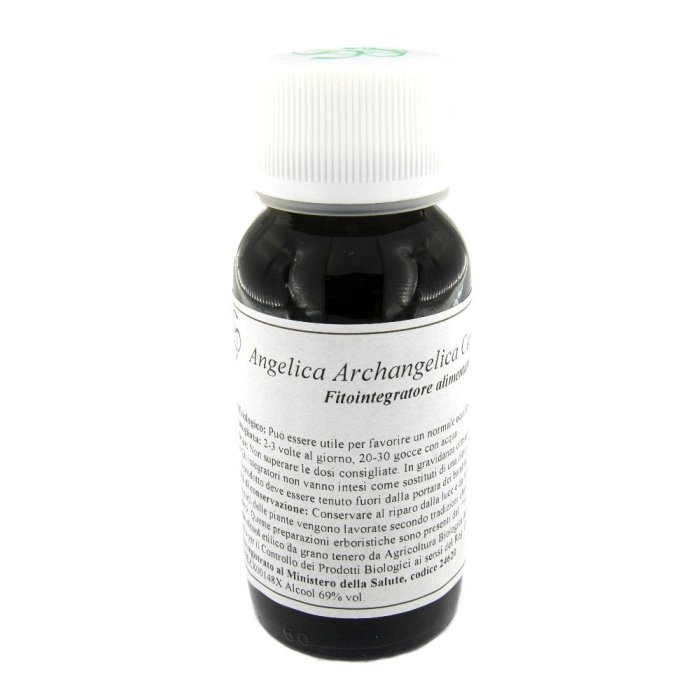 LVS 06N Angelica Arch.Comp.