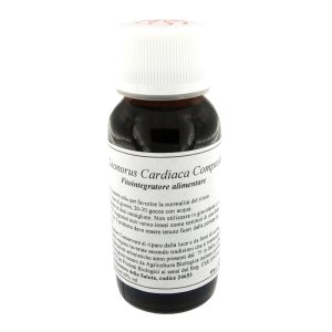 LVS 39S Leonorus Card.Comp.