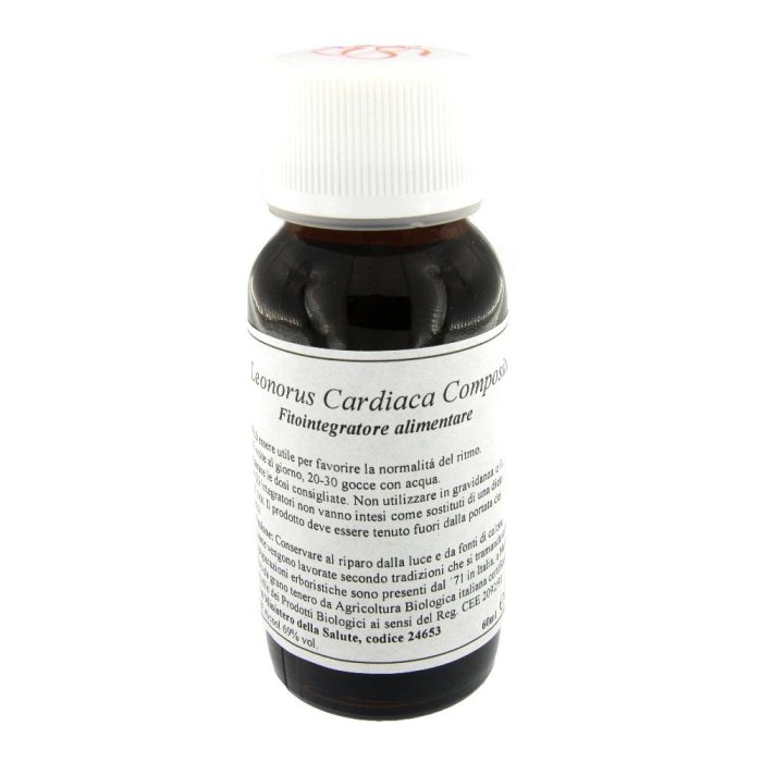 LVS 39S Leonorus Card.Comp.