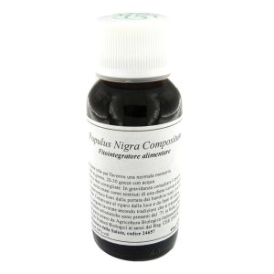 LVS 43N Populus Nigra Comp.