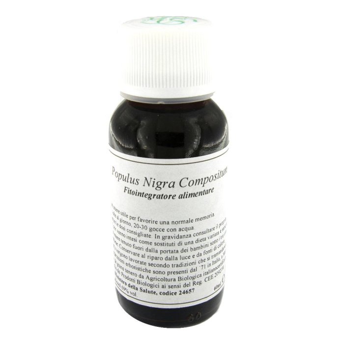 LVS 43N Populus Nigra Comp.