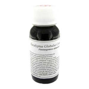 LVS 56S EUCALYPTUS GLOBUL COMP