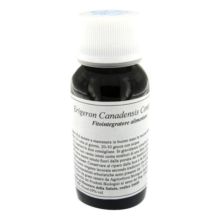 85C ERIGERON CANADENSIS COMP