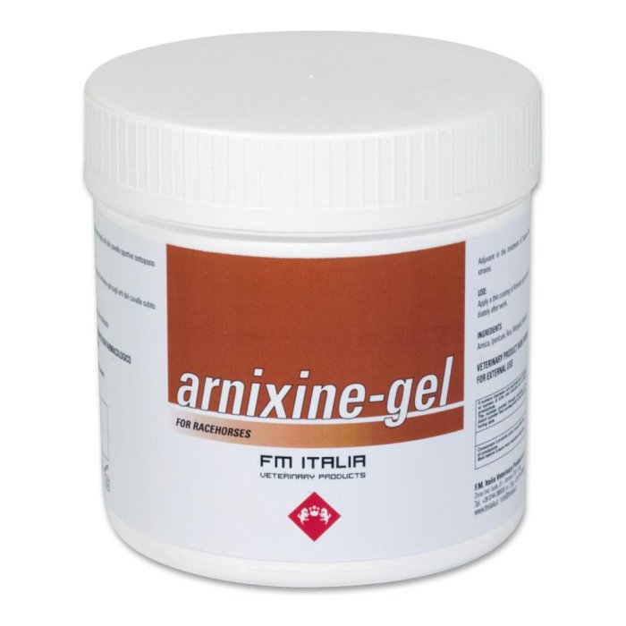 Fm Italia Group Arnixine Gel 750 ml