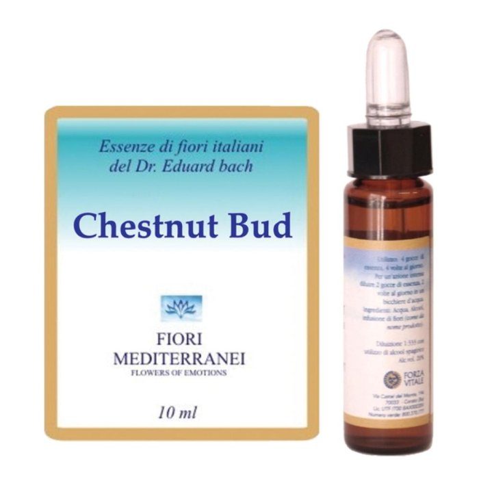 Chestnut Bud Fiori di Bach Mediter Gocce Orali – Rimedio Naturale in Gocce per Equilibrio Emotivo e Crescita Interiore