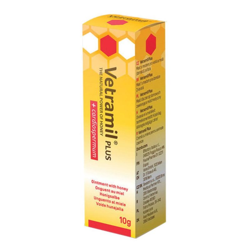 Bfactory Italia Vetramil Plus 10g