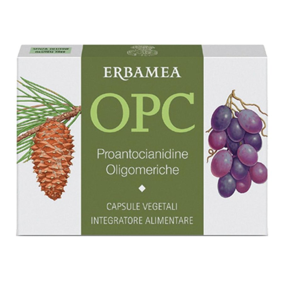Erbamea OPC Integratore Antiossidante a Base di Estratto di Semi d’Uva in Capsule – Confezione da 24 Capsule Erbamea OPC Integratore Antiossidante a Base di Estratto di Semi d’Uva in Capsule – Confezione da 24 Capsule